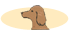 Veterinaria