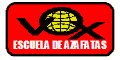 Azafatas /os de Vuelo ( Tripulante Cabina de Pasajeros ) : VOX Escuela de Azafatas