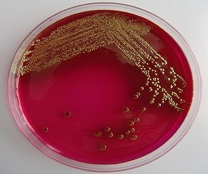 imagen Talleres científicos y tecnológicos de la Universidad de La Rioja