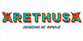 Arethusa Arethusa